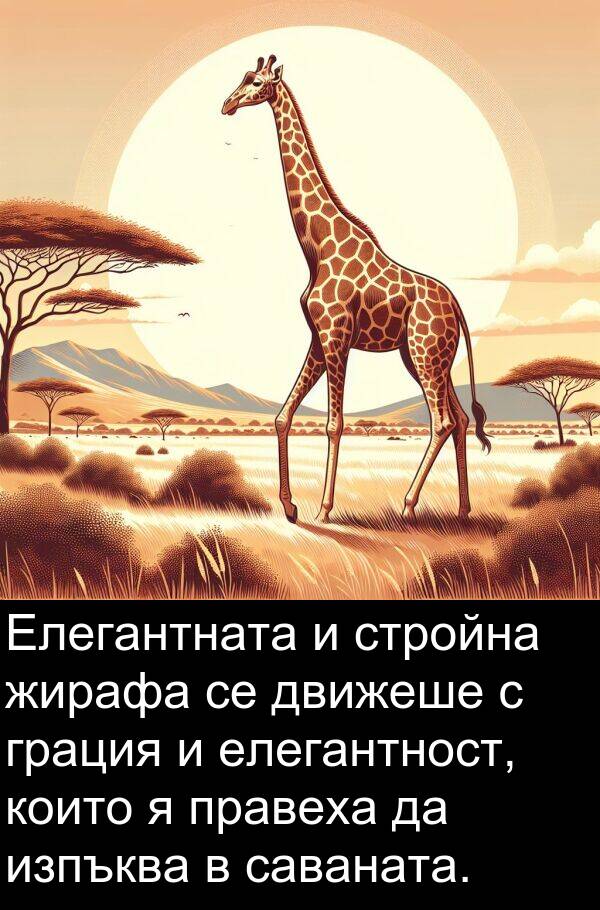 саваната: Елегантната и стройна жирафа се движеше с грация и елегантност, които я правеха да изпъква в саваната.