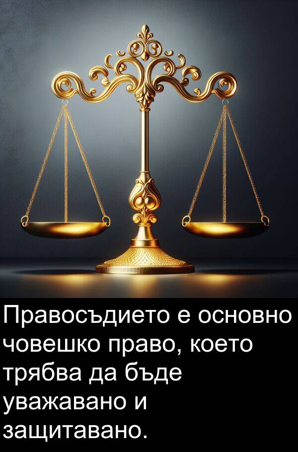 право: Правосъдието е основно човешко право, което трябва да бъде уважавано и защитавано.