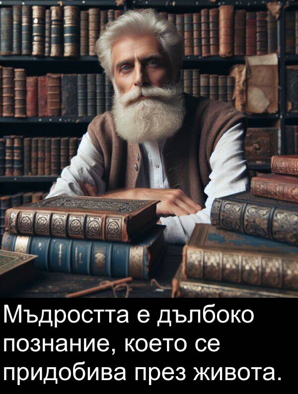 дълбоко: Мъдростта е дълбоко познание, което се придобива през живота.