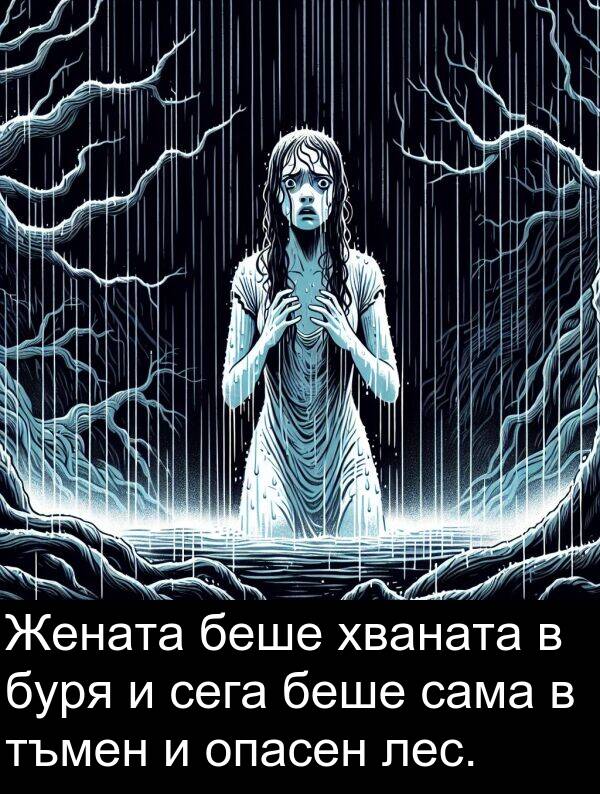 сама: Жената беше хваната в буря и сега беше сама в тъмен и опасен лес.