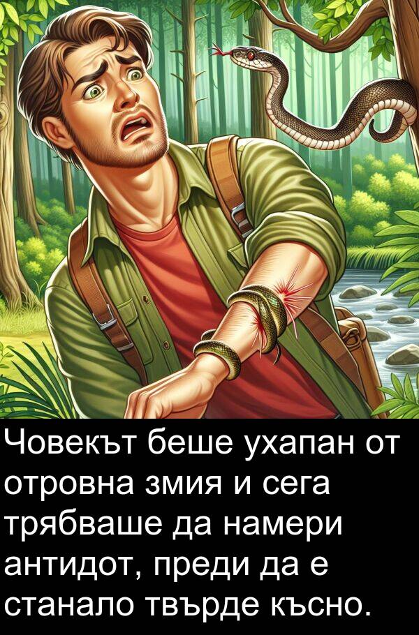 станало: Човекът беше ухапан от отровна змия и сега трябваше да намери антидот, преди да е станало твърде късно.