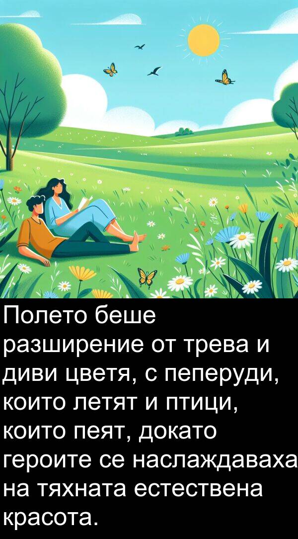 птици: Полето беше разширение от трева и диви цветя, с пеперуди, които летят и птици, които пеят, докато героите се наслаждаваха на тяхната естествена красота.