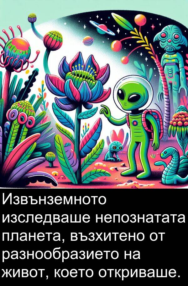 изследваше: Извънземното изследваше непознатата планета, възхитено от разнообразието на живот, което откриваше.