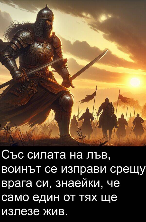 само: Със силата на лъв, воинът се изправи срещу врага си, знаейки, че само един от тях ще излезе жив.