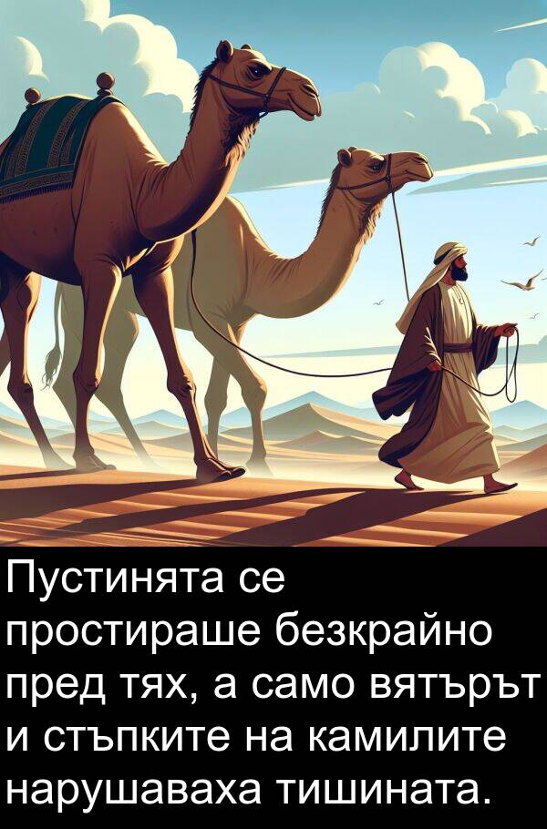 само: Пустинята се простираше безкрайно пред тях, а само вятърът и стъпките на камилите нарушаваха тишината.