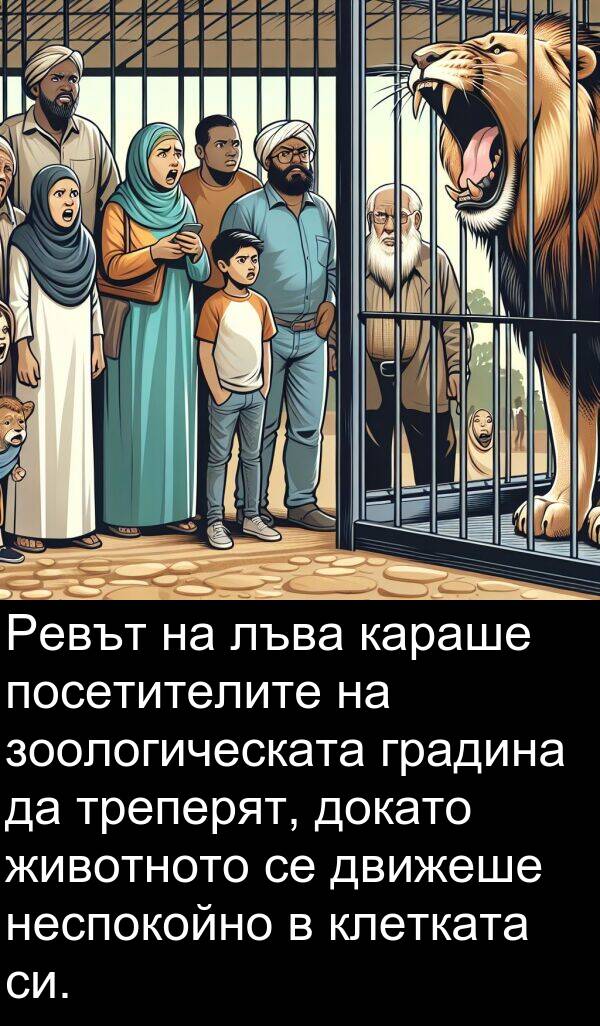 движеше: Ревът на лъва караше посетителите на зоологическата градина да треперят, докато животното се движеше неспокойно в клетката си.