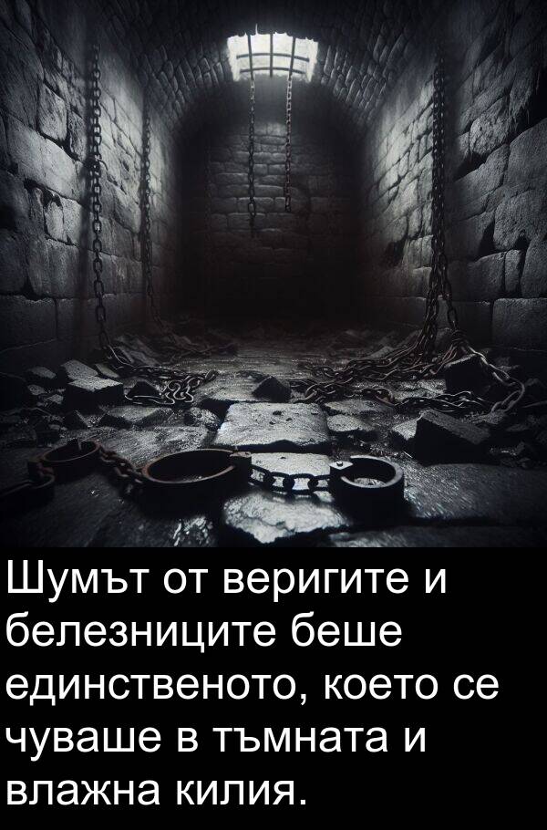 единственото: Шумът от веригите и белезниците беше единственото, което се чуваше в тъмната и влажна килия.