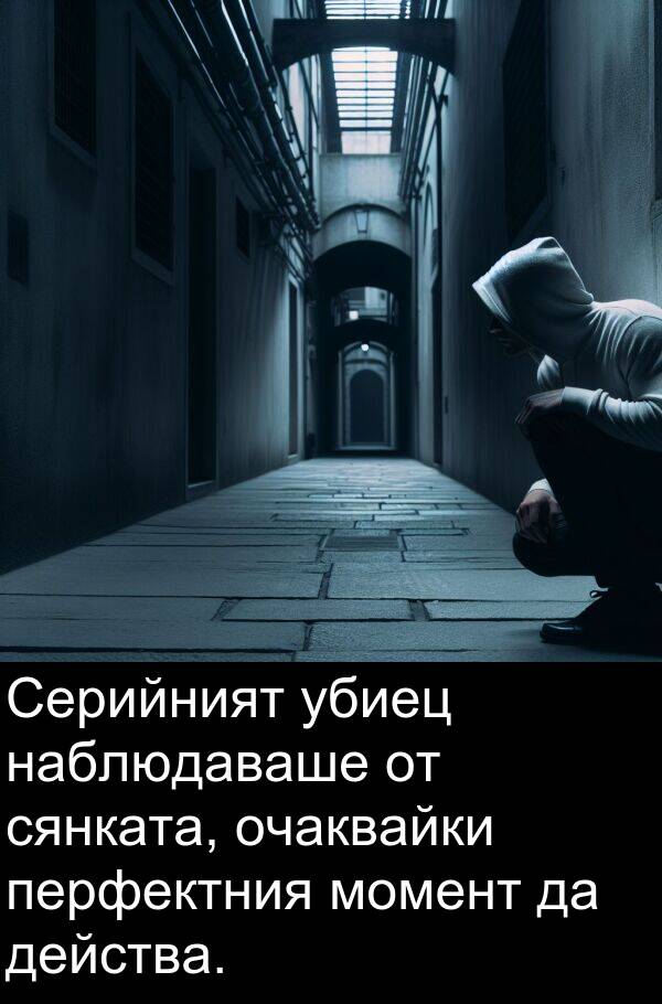 убиец: Серийният убиец наблюдаваше от сянката, очаквайки перфектния момент да действа.