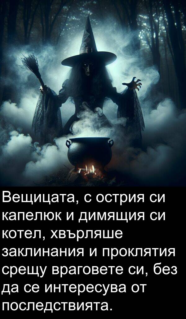 заклинания: Вещицата, с острия си капелюк и димящия си котел, хвърляше заклинания и проклятия срещу враговете си, без да се интересува от последствията.