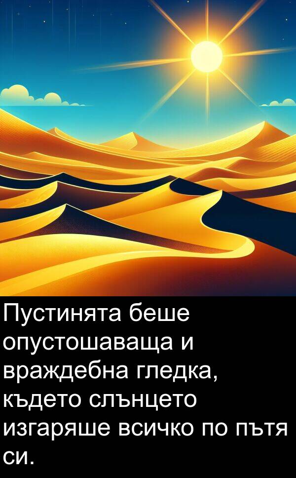 изгаряше: Пустинята беше опустошаваща и враждебна гледка, където слънцето изгаряше всичко по пътя си.