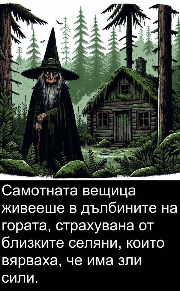 сили: Самотната вещица живееше в дълбините на гората, страхувана от близките селяни, които вярваха, че има зли сили.