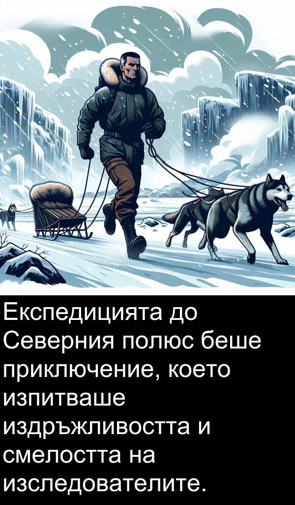 изпитваше: Експедицията до Северния полюс беше приключение, което изпитваше издръжливостта и смелостта на изследователите.