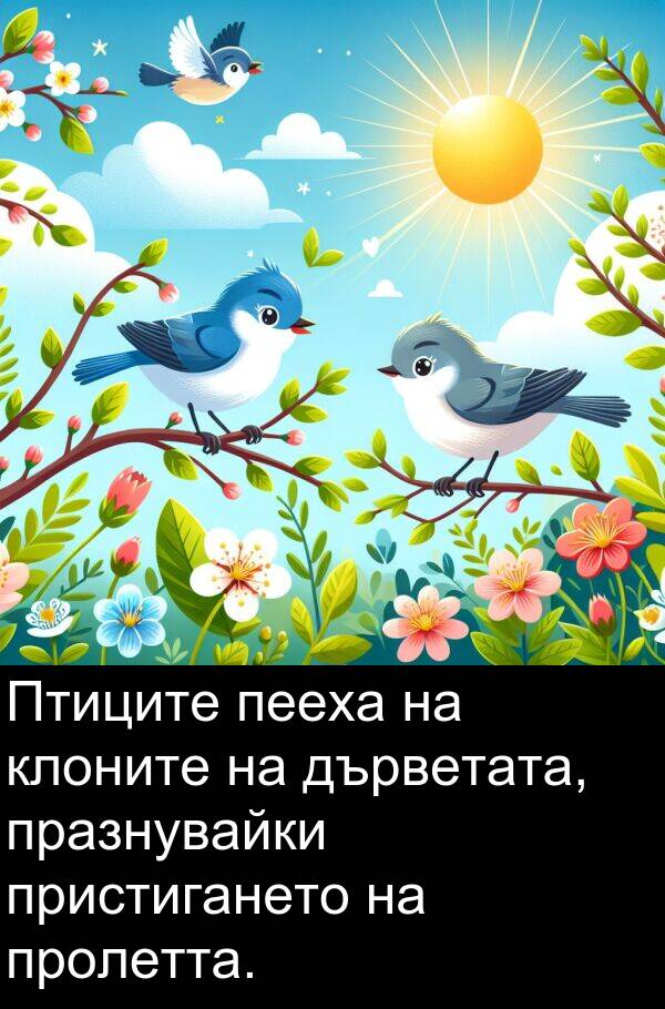 пееха: Птиците пееха на клоните на дърветата, празнувайки пристигането на пролетта.