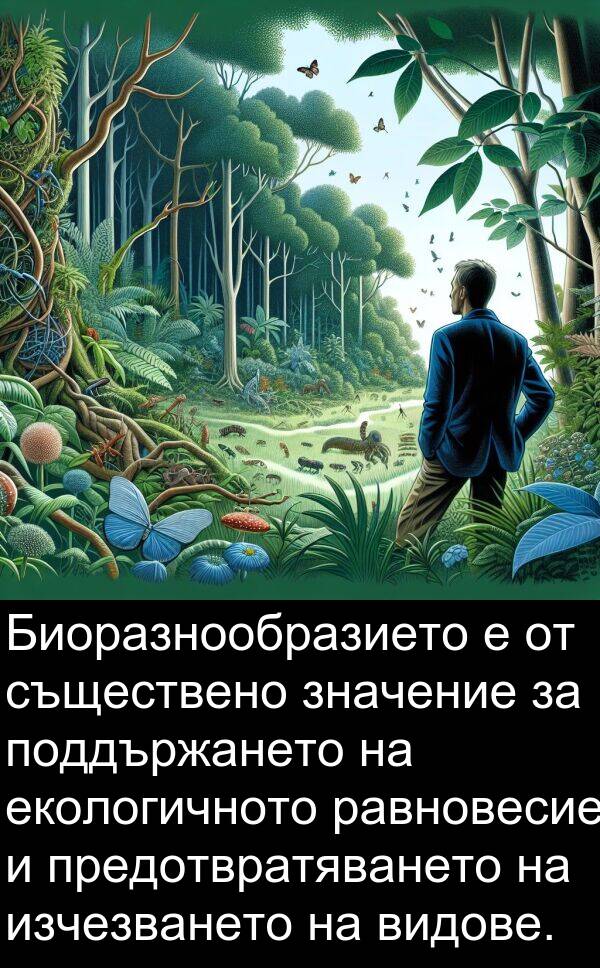 равновесие: Биоразнообразието е от съществено значение за поддържането на екологичното равновесие и предотвратяването на изчезването на видове.