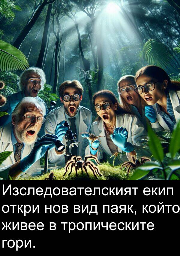 екип: Изследователският екип откри нов вид паяк, който живее в тропическите гори.