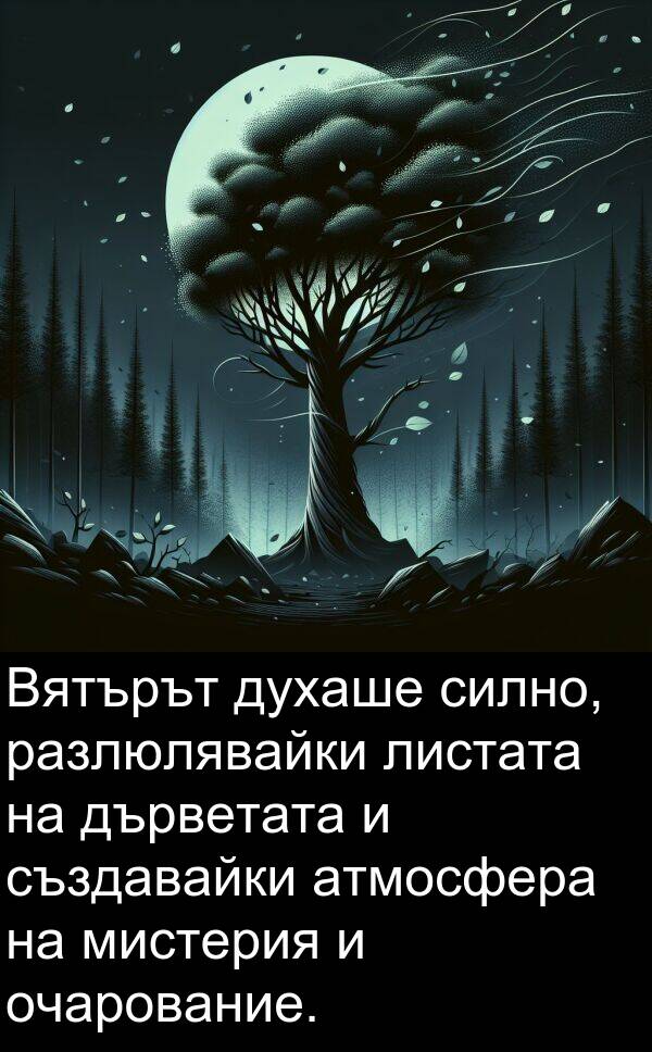 дърветата: Вятърът духаше силно, разлюлявайки листата на дърветата и създавайки атмосфера на мистерия и очарование.