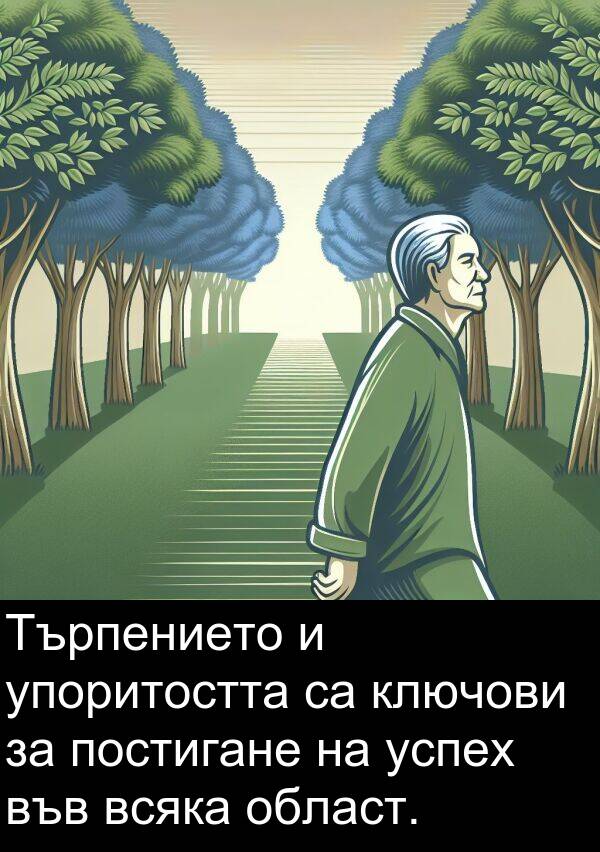 постигане: Търпението и упоритостта са ключови за постигане на успех във всяка област.
