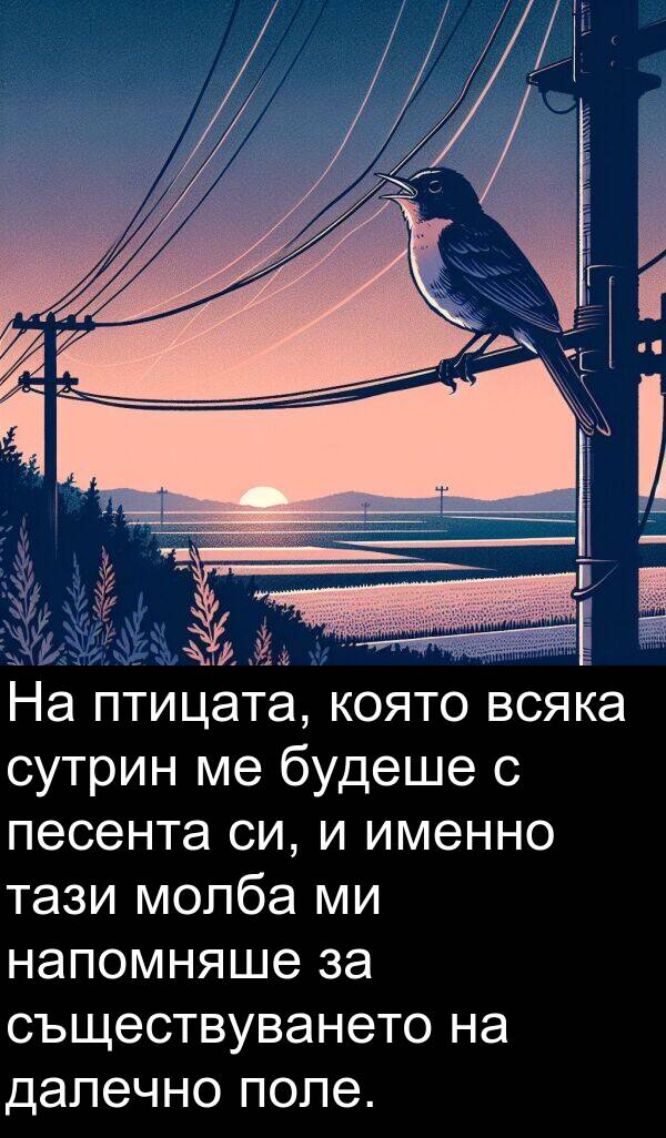 далечно: На птицата, която всяка сутрин ме будеше с песента си, и именно тази молба ми напомняше за съществуването на далечно поле.