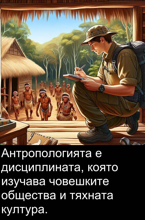 общества: Антропологията е дисциплината, която изучава човешките общества и тяхната култура.