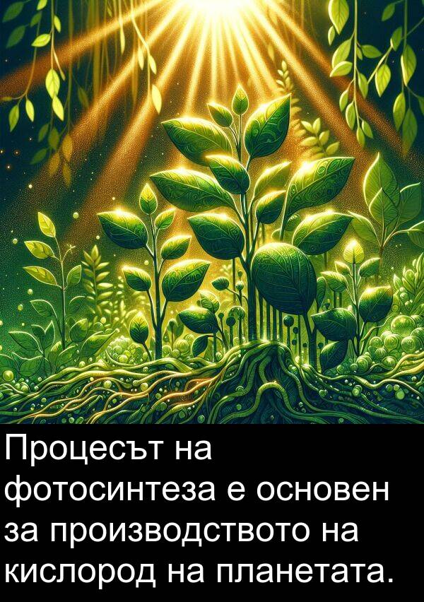 планетата: Процесът на фотосинтеза е основен за производството на кислород на планетата.