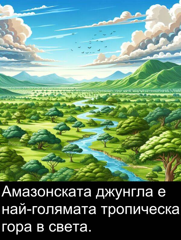 света: Амазонската джунгла е най-голямата тропическа гора в света.