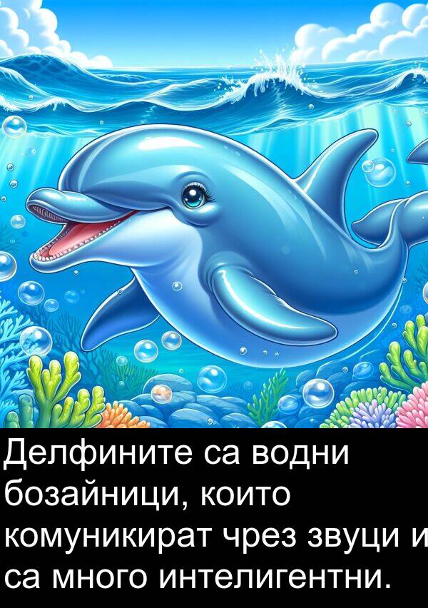 чрез: Делфините са водни бозайници, които комуникират чрез звуци и са много интелигентни.