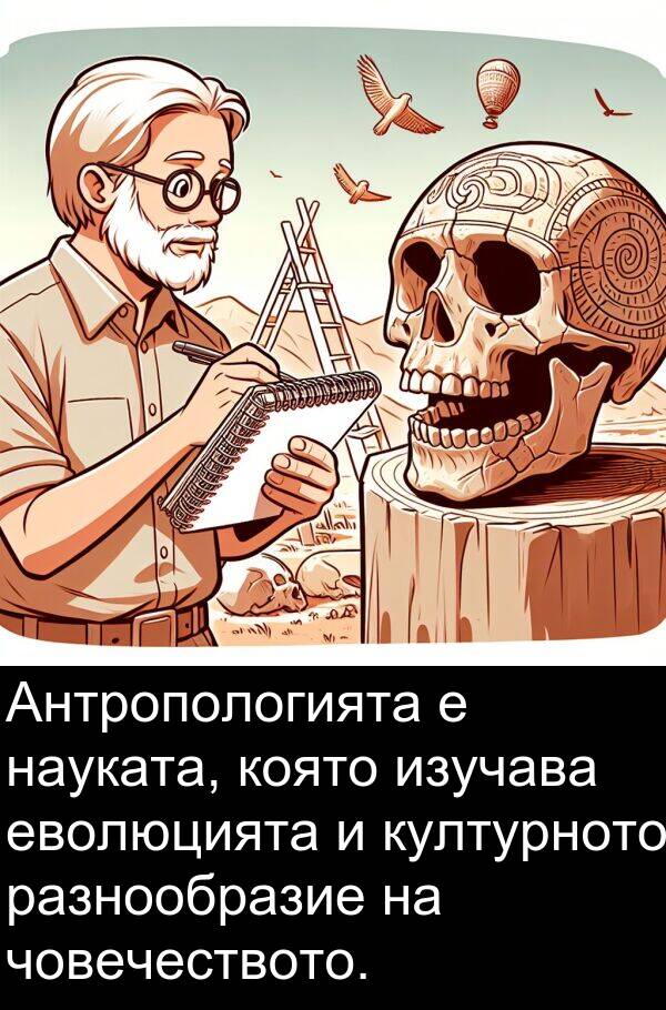 еволюцията: Антропологията е науката, която изучава еволюцията и културното разнообразие на човечеството.