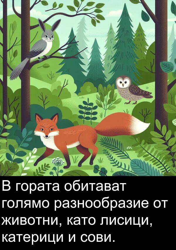 обитават: В гората обитават голямо разнообразие от животни, като лисици, катерици и сови.