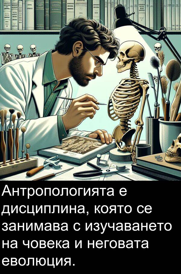 еволюция: Антропологията е дисциплина, която се занимава с изучаването на човека и неговата еволюция.