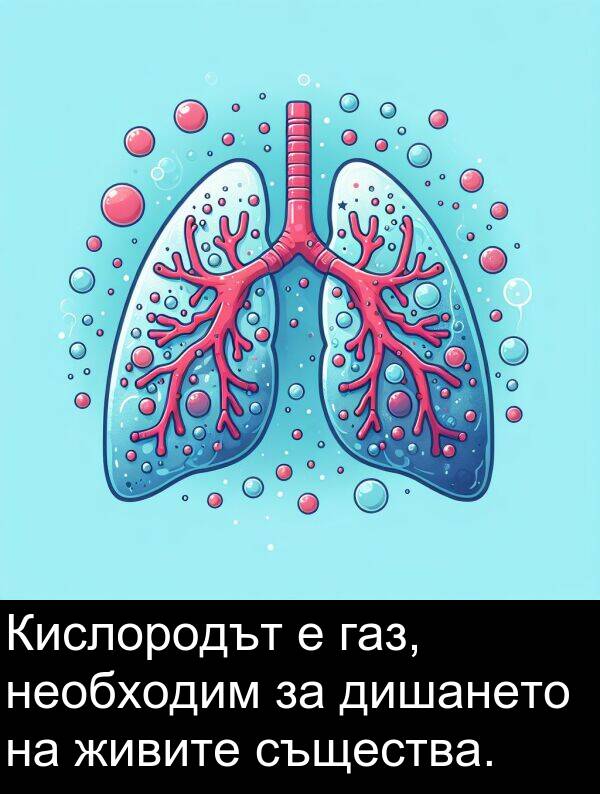 същества: Кислородът е газ, необходим за дишането на живите същества.