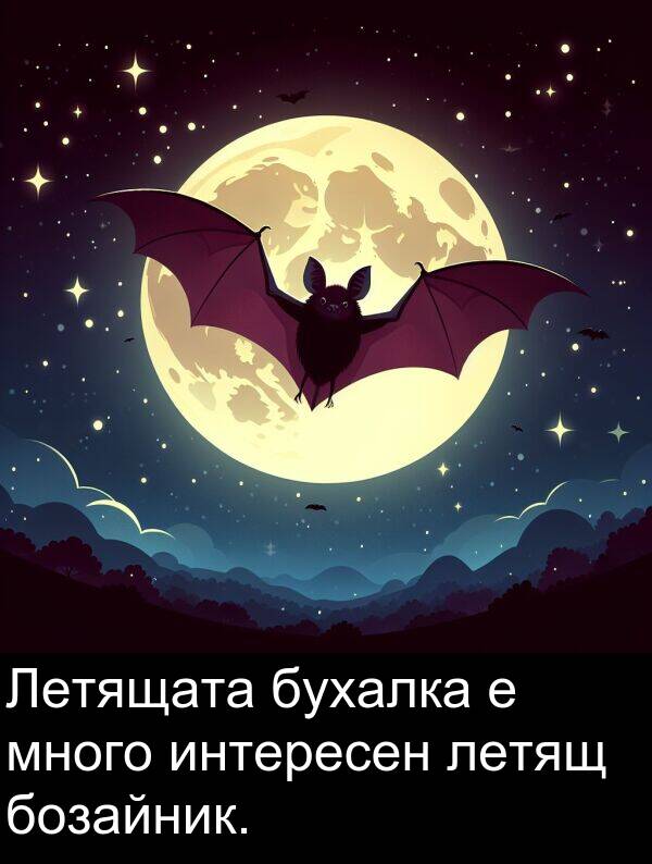 интересен: Летящата бухалка е много интересен летящ бозайник.