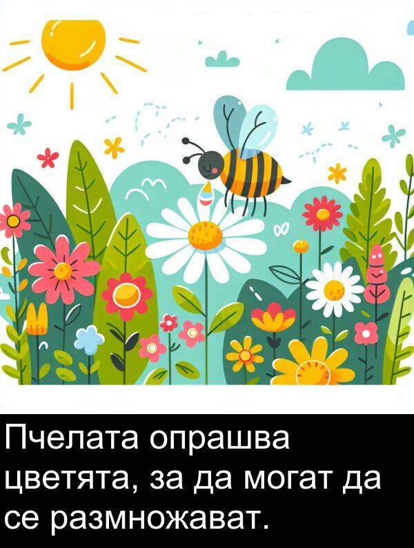 цветята: Пчелата опрашва цветята, за да могат да се размножават.