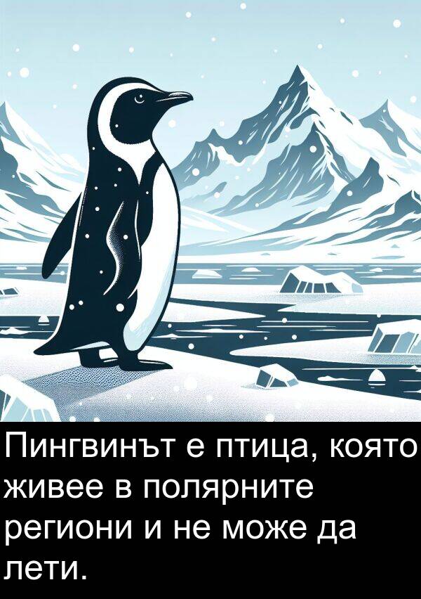 лети: Пингвинът е птица, която живее в полярните региони и не може да лети.