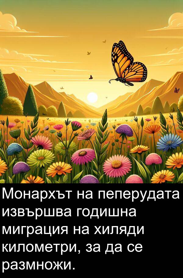 миграция: Монархът на пеперудата извършва годишна миграция на хиляди километри, за да се размножи.