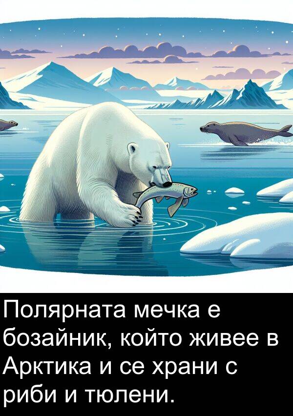 бозайник: Полярната мечка е бозайник, който живее в Арктика и се храни с риби и тюлени.