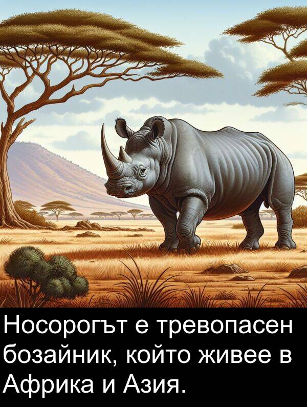бозайник: Носорогът е тревопасен бозайник, който живее в Африка и Азия.