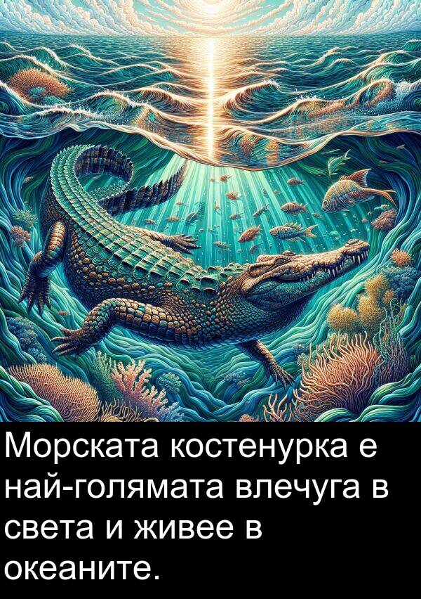 света: Морската костенурка е най-голямата влечуга в света и живее в океаните.