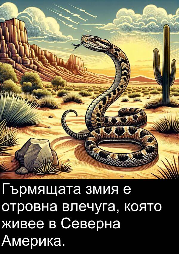 отровна: Гърмящата змия е отровна влечуга, която живее в Северна Америка.