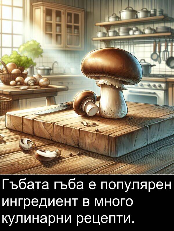 рецепти: Гъбата гъба е популярен ингредиент в много кулинарни рецепти.