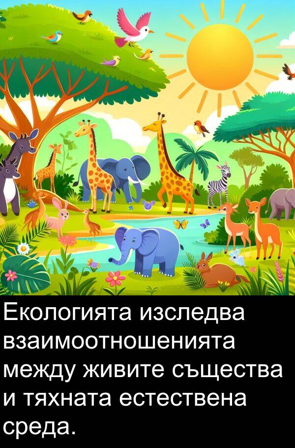 между: Екологията изследва взаимоотношенията между живите същества и тяхната естествена среда.