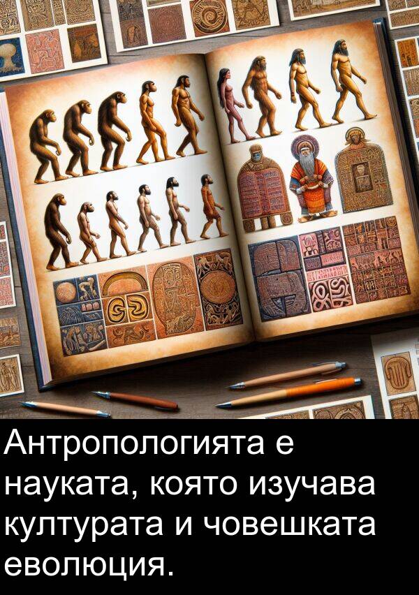 еволюция: Антропологията е науката, която изучава културата и човешката еволюция.