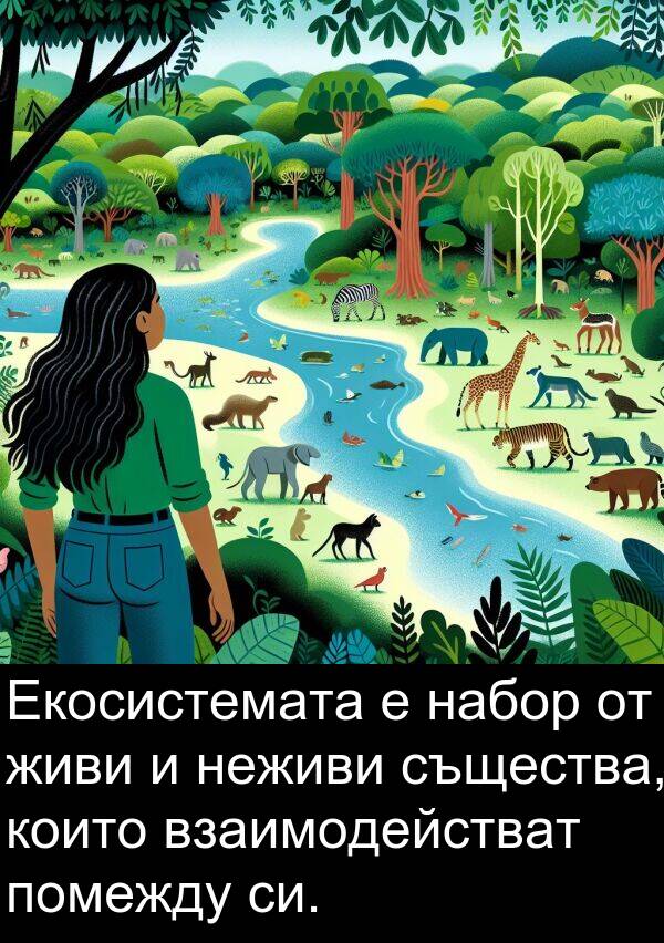 набор: Екосистемата е набор от живи и неживи същества, които взаимодействат помежду си.