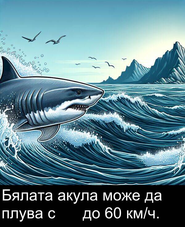 може: Бялата акула може да плува с速度 до 60 км/ч.