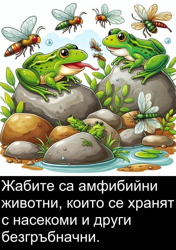 безгръбначни: Жабите са амфибийни животни, които се хранят с насекоми и други безгръбначни.