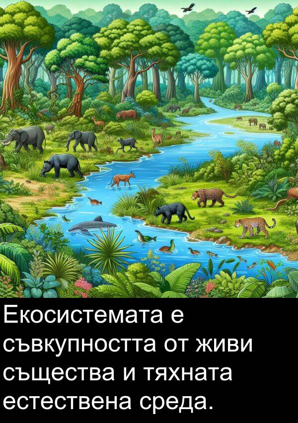 същества: Екосистемата е съвкупността от живи същества и тяхната естествена среда.
