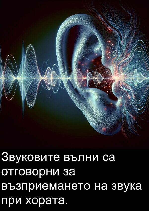 звука: Звуковите вълни са отговорни за възприемането на звука при хората.