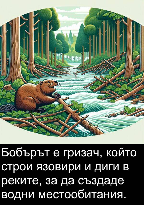 язовири: Бобърът е гризач, който строи язовири и диги в реките, за да създаде водни местообитания.