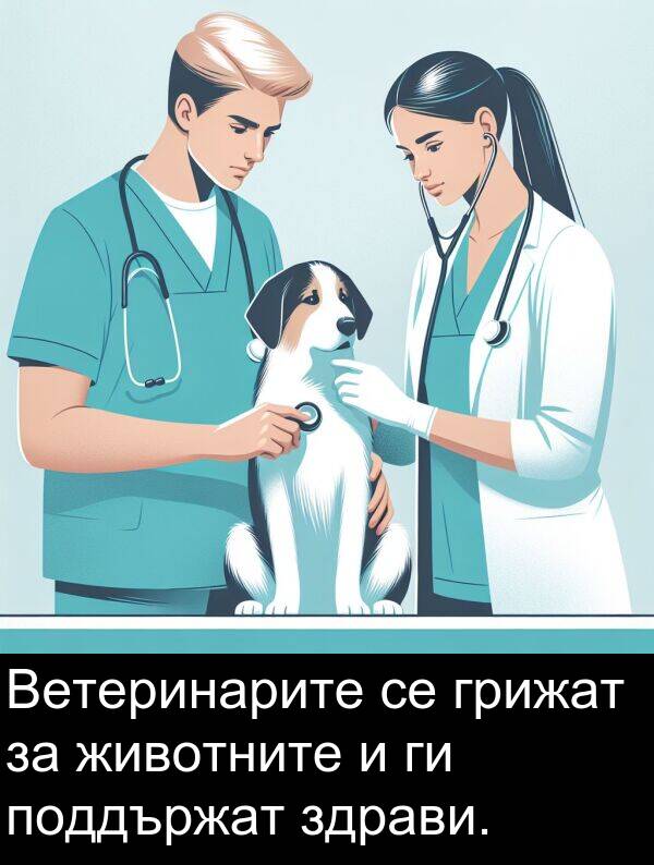 поддържат: Ветеринарите се грижат за животните и ги поддържат здрави.