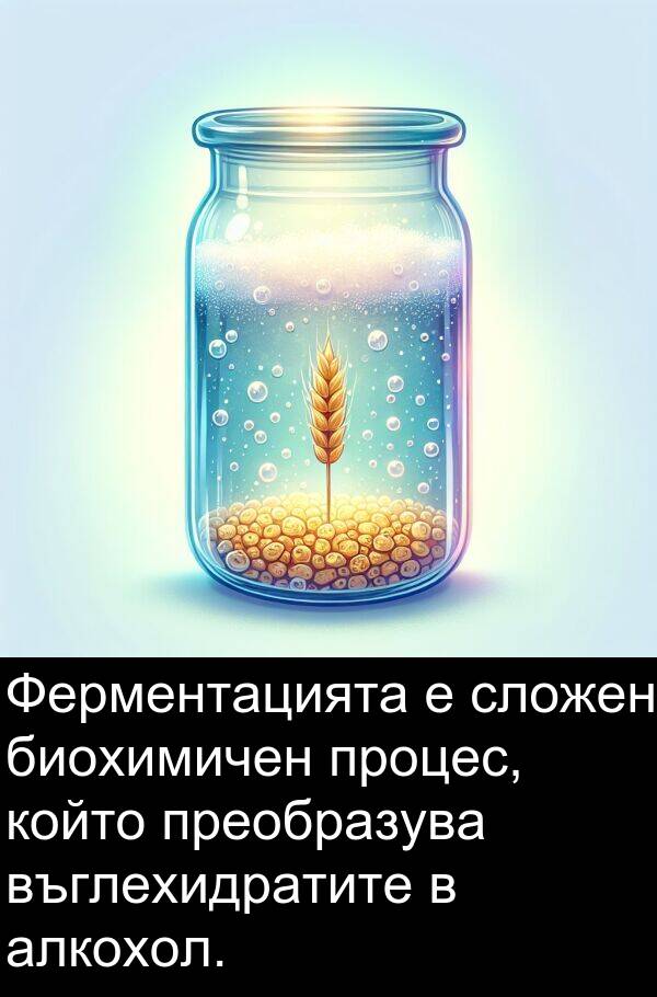 сложен: Ферментацията е сложен биохимичен процес, който преобразува въглехидратите в алкохол.