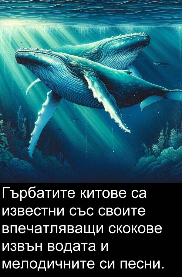 извън: Гърбатите китове са известни със своите впечатляващи скокове извън водата и мелодичните си песни.